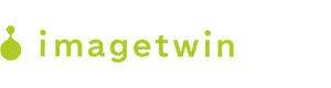 ImageTwin Logo